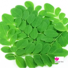 Moringa Drumstick leaf Per Piece